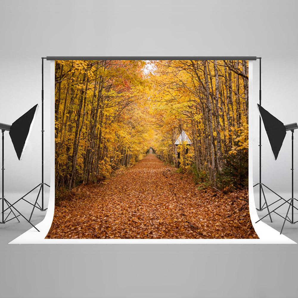 Autumn Yellow Leaves Forest Fall Backdrop for Studio HJ03451