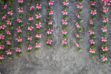 Grunge Brick Wall With Flower Backdrops for Photography HJ03614