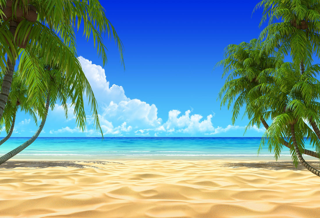 Summer Beach Blue Ocean Sky Backdrop Hj03738 – Dbackdrop