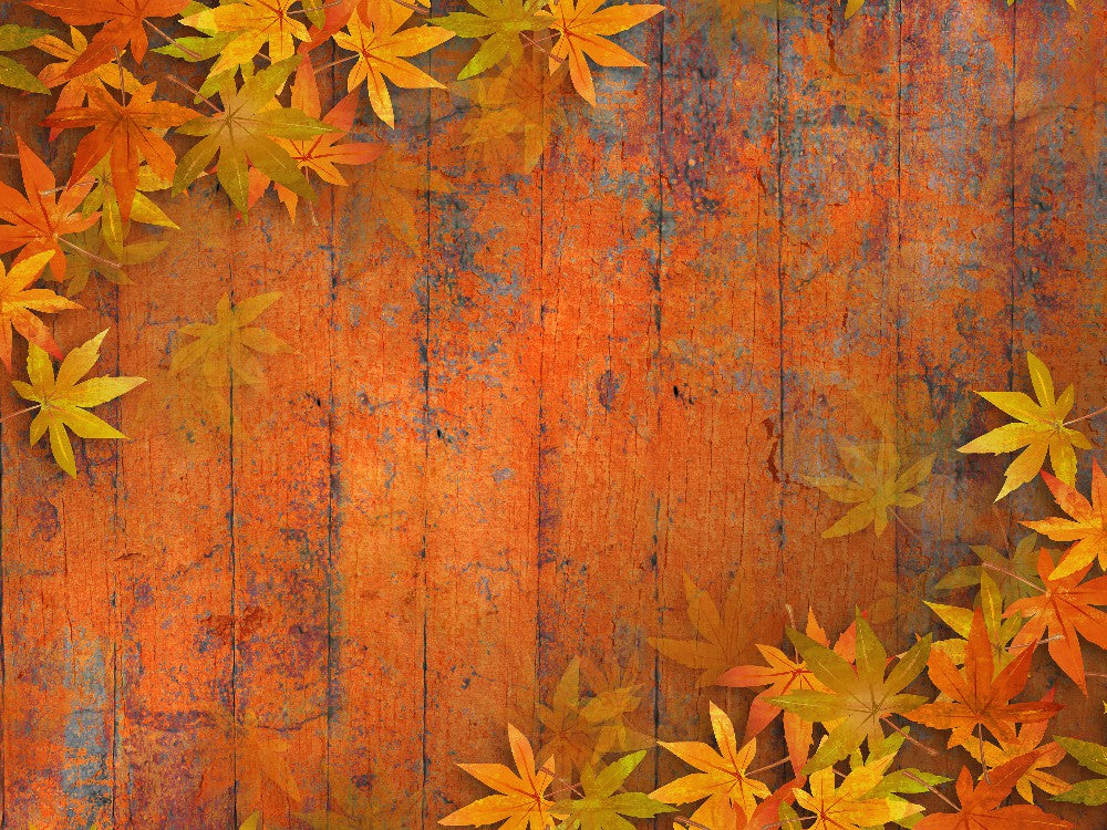 Red Marple Retro Wood Floor Autumn Photography Backdrop DBD-19359