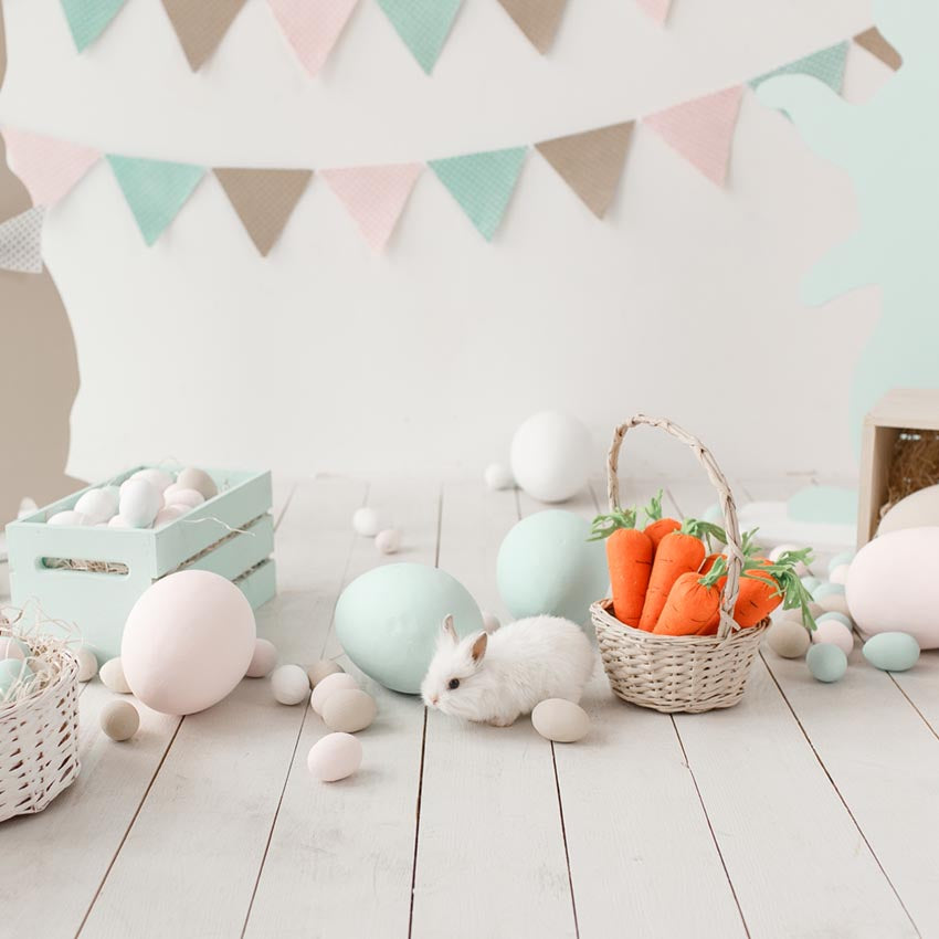 Easter Eggs Bunny Carrot Backdrop for Photo Shoot J02923