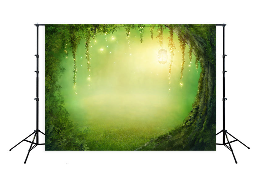 Forest Fairytale Backdrops Mysterious Cave Background J03529