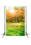 Beautiful Flowers Green Park Backdrops for Photography J05486