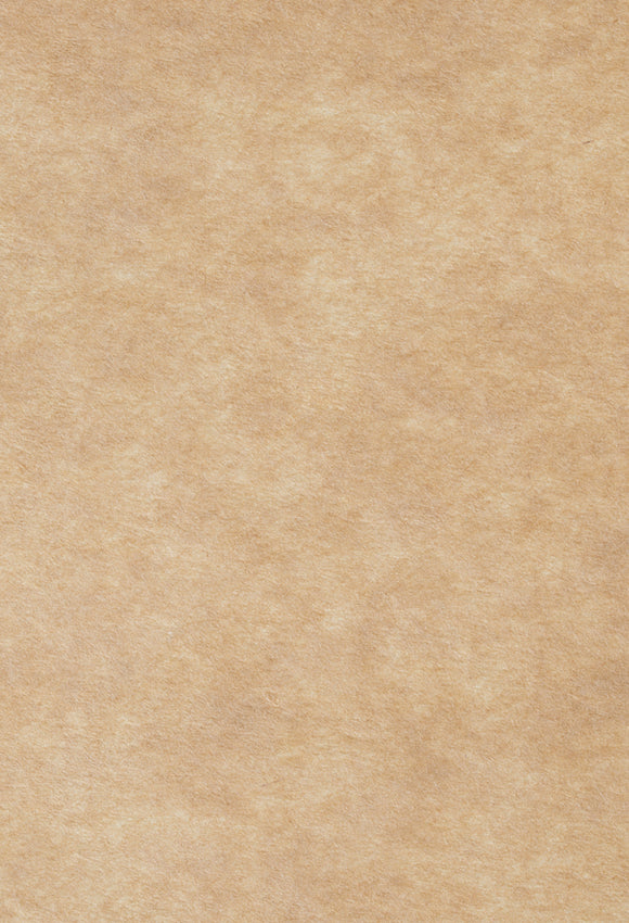 Sandy Beige Abstract Texture Photography Backdrop for Picture J08079