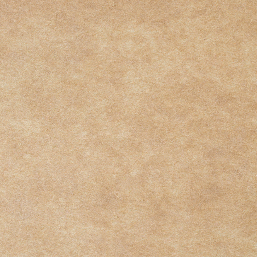 Sandy Beige Abstract Texture Photography Backdrop for Picture J08079