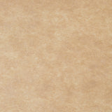 Sandy Beige Abstract Texture Photography Backdrop for Picture J08079