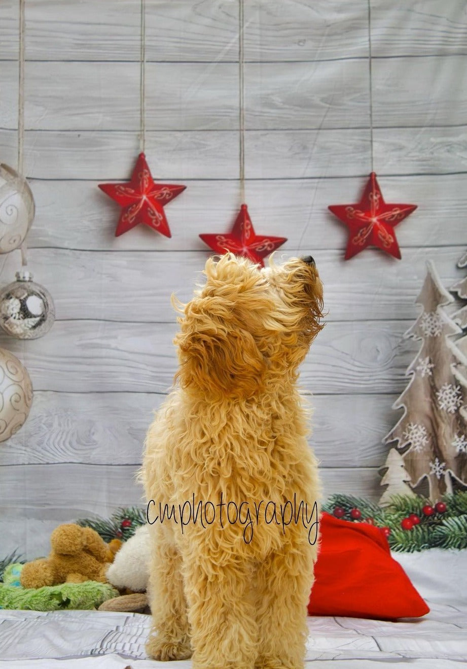 Christmas Decorations Wood Floor Photography Backdrop LV-866