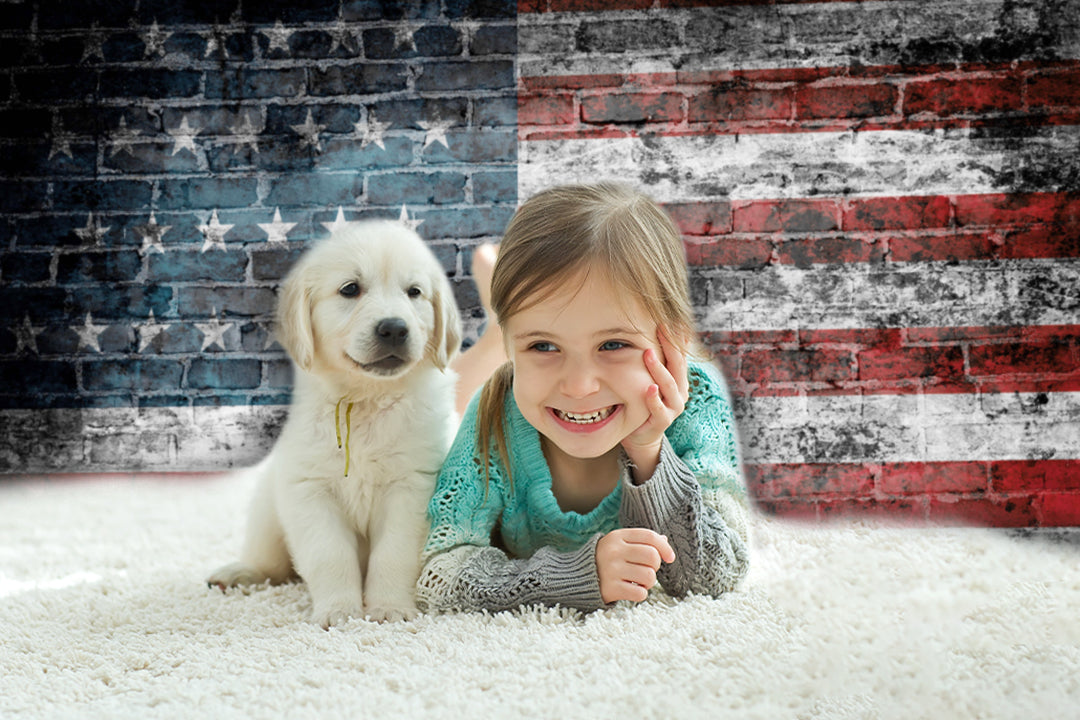 American Flag Independence Day Brick Wall Backdrop M-21