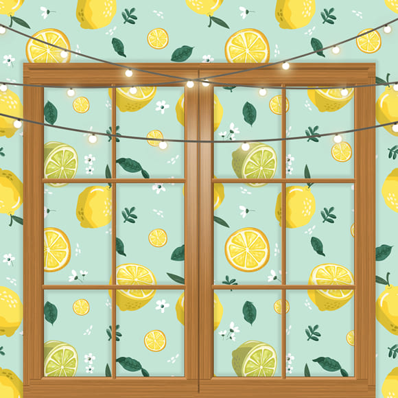 Lemon Window Summer Photography Backdrop M-33