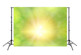 Green Bokeh Solar Beam Photography Backdrop M163