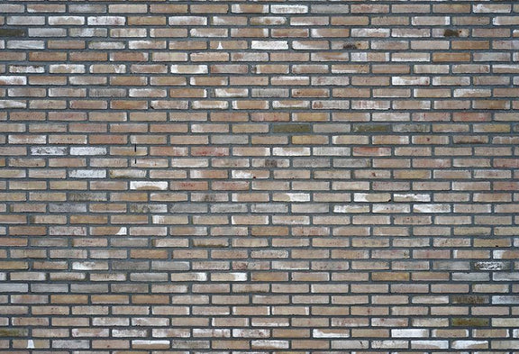 Grey Brick Wall Backdrop for Photography M255 – Dbackdrop