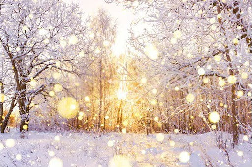 Beautiful Snowy Winter Landscape Forest Bokeh Backdrop