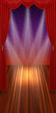 Red Curtain Lighting Stage Backdrops for Photo Booth 