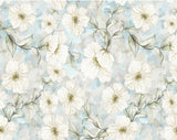 Beautiful White Flowers Background for Photography NB-418 