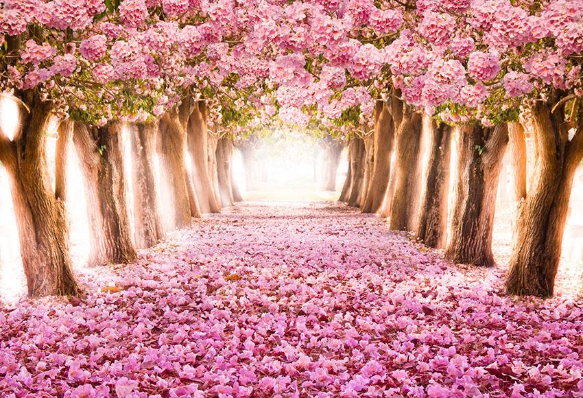 Scenic Backdrops Trees Parks Woodland Backdrops Pink Background S-2718