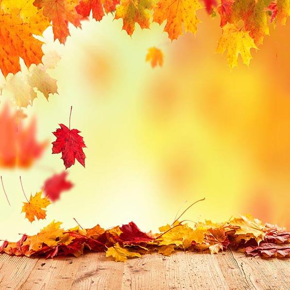 Autumn Yellow Maple Leaf Backdrops for Photography S-3136