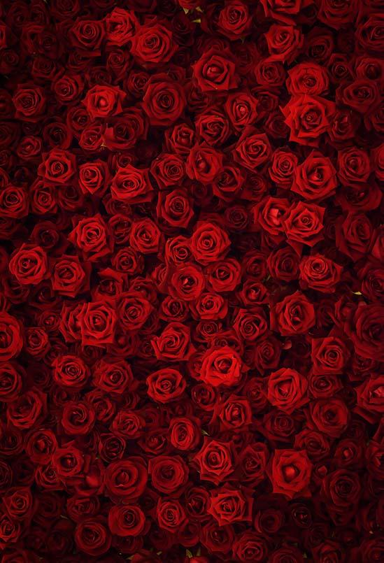 Flowers Background Red Backdrop S-3171