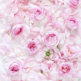 Flowers Backdrops Patterned Backdrops Flower Wall background Floor S-3174