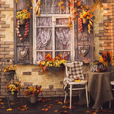 Fall Window Yellow Leaves Autumn Photography Backdrop S-3201