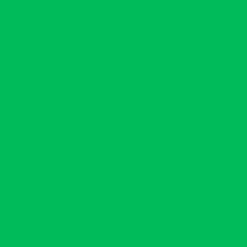 Solid Color Green Screen Photo Backdrop Studio Photography Props S12