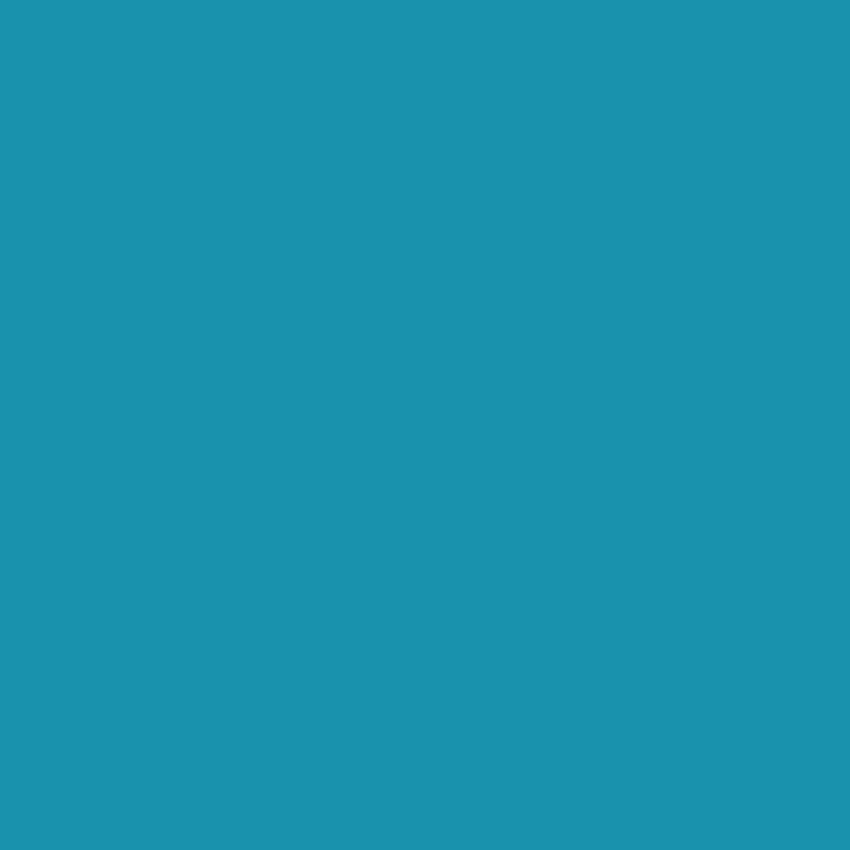 Teal Backdrop Solid Color Photography Background for Studio SC411