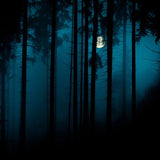 Magic Mystery Night Foggy Forest Halloween Backdrop