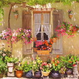 Beautiful  Flowers Window Photograpphy Backdrop SH-808