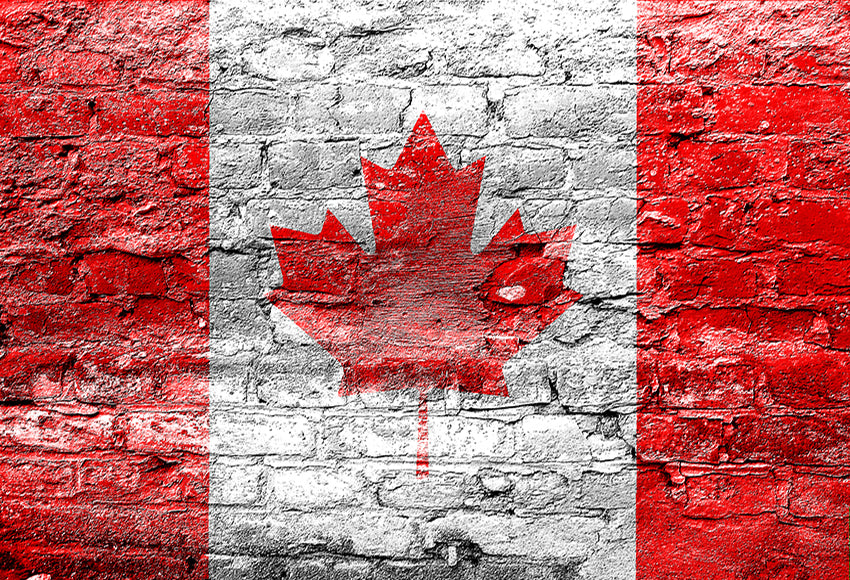 Canada Flag Brick Studio Photography Backdrop