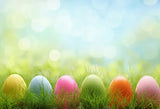 Easter Eggs Green Grass Bokeh Photography Backdrop SH005