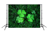 St. Patrick's Day Green Good Luck Backdrop for Party Decorations SH195