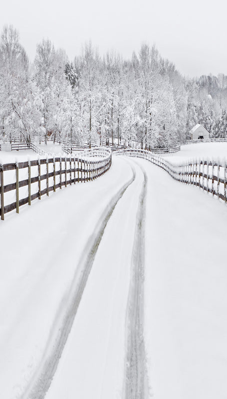 Winter Snow  Road Forest Backdrop for Photo Booth ST-439