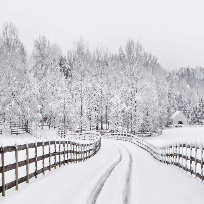 Christmas Photo Backdrop Chimney Winter Snow Snowman ST-517 – Dbackdrop