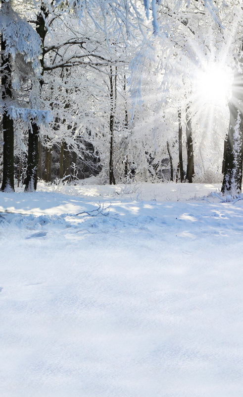 Winter Snow Forest Sunshine Backdrop for Photography ST-510