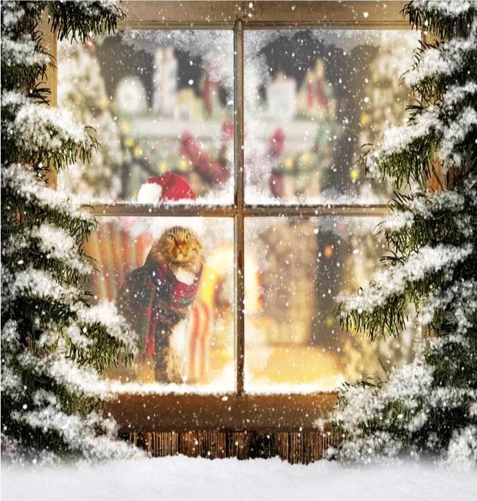 Christmas Backdrops Window Cat Christmas Hat Snow Background ST-516