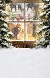 Christmas Backdrops Window Cat Christmas Hat Snow Background ST-516