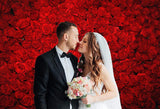 Red Rose Photo Background for Valentine's Day Decorations VAT-42