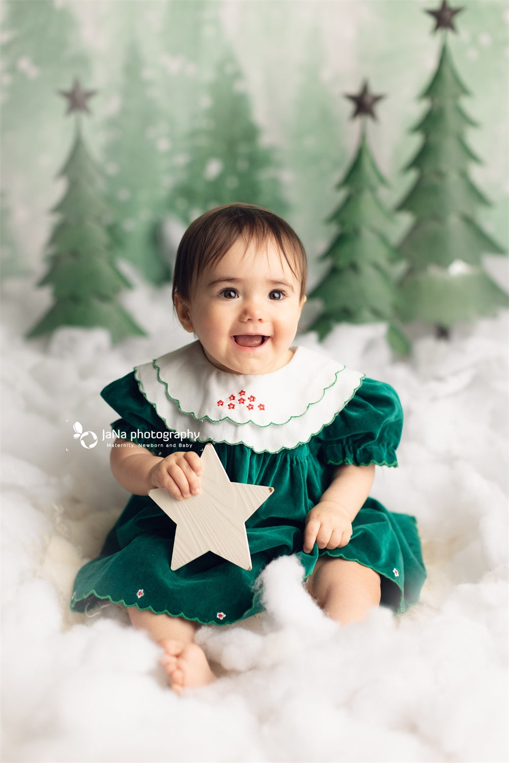 Christmas Trees Backdrop Snow Background Baby Photography ZG-71