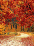 Golden Maple Leaves Autumn Scenery Backdrop for Photography