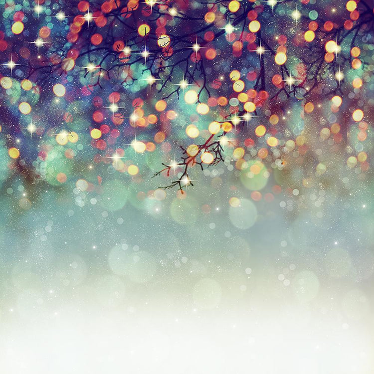 Bokeh And Blurred Backdrops Christmas Backdrops Portrait Backdrops DBD ...