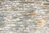 Close Up Stone Wall Texture Backdrop for Photos D-243