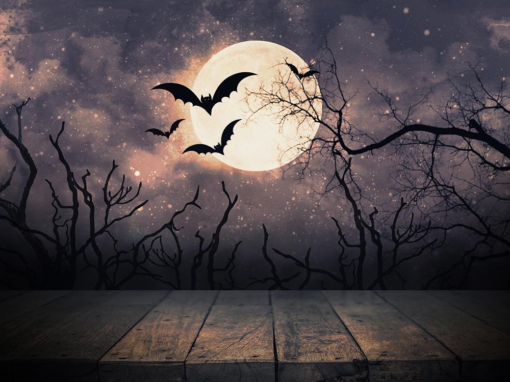 Halloween Night  Moon and Bats Photo Booth Backdrop DBD-H19004