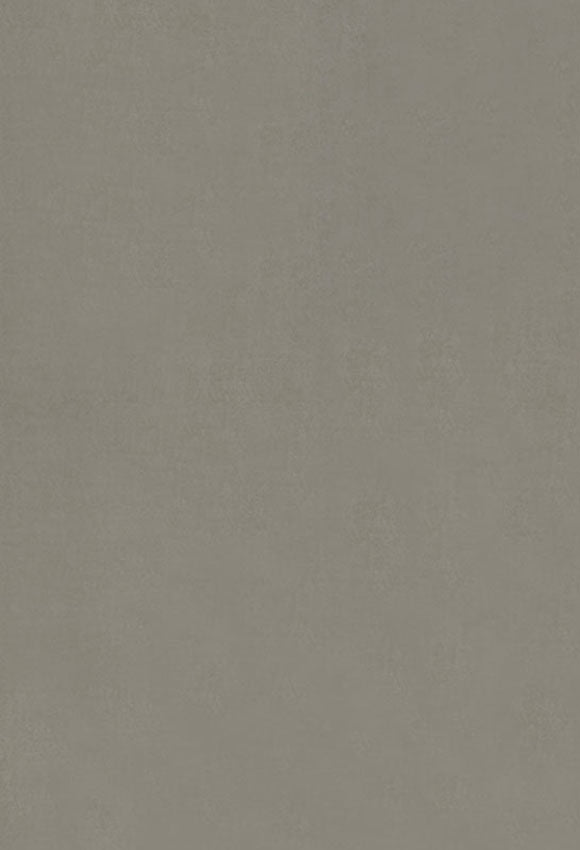 Grey Solid Abstract Texture Photo Backdrop LV-066