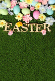 Easter Decorations Background Easter Eggs Spring Flowers Green Grass Backdrop LV-1380