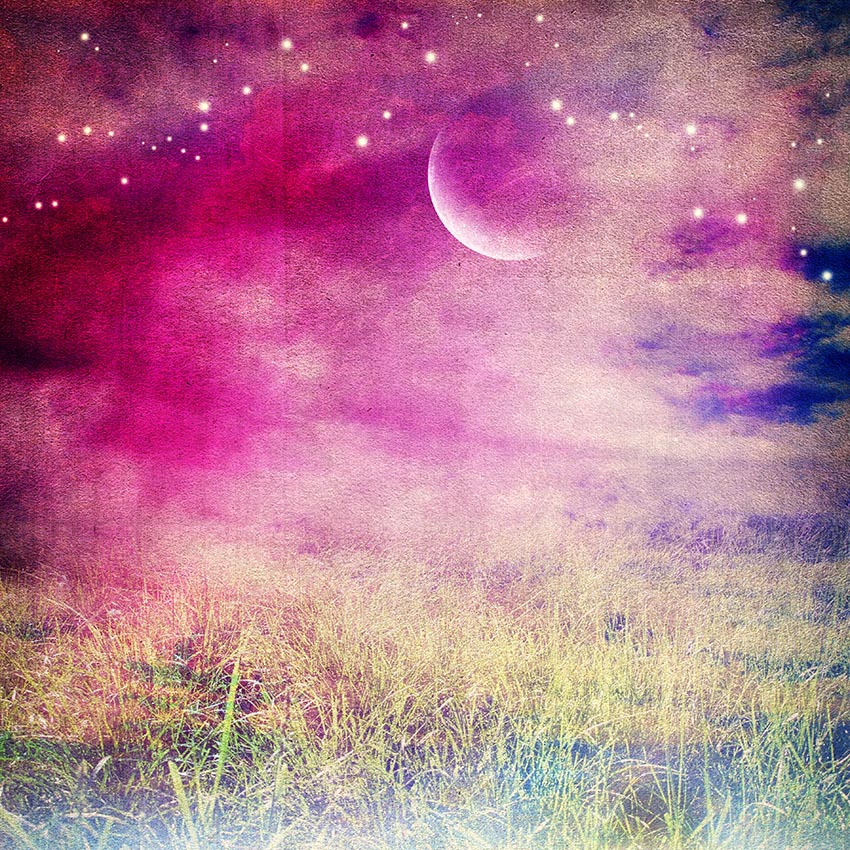 Portrait Photography Backdrop Night Sky Moon Stars Grass Background LV-620