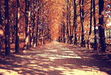 Autumn Forest Fallen Yellow Leaves Backdrop for Photography LV-801