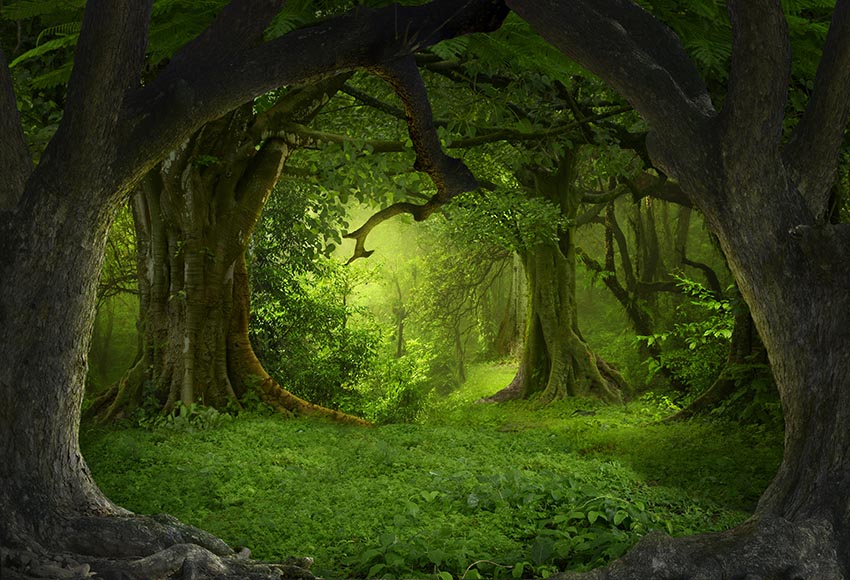 Secret Forest Big Tree Green Backdrop for Photo Studio LV-837