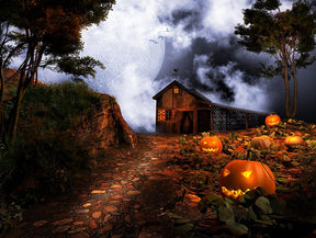 Halloween Wooden House Pumpkin Photo Backdrop DBD-H19064 – Dbackdrop