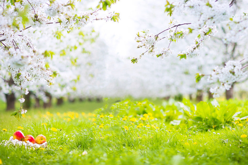 Spring White Flowers Green Grass Photo Booth Backdrop S-3101