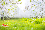 Spring White Flowers Green Grass Photo Booth Backdrop S-3101